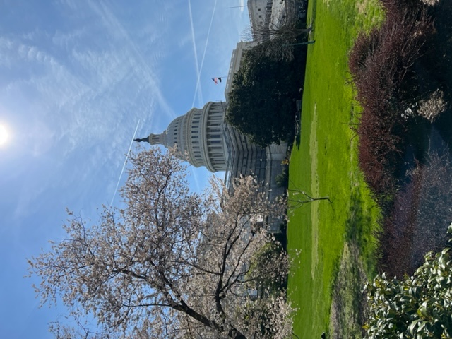 Capitol picture